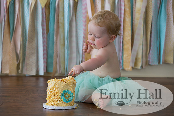 Emily Hall Photography - Charlotte - 1-3404