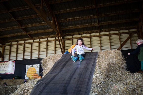 YMCA Pumpkin Patch 2019-9233
