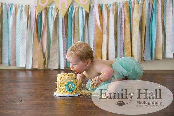 Emily Hall Photography - Charlotte - 1-3494