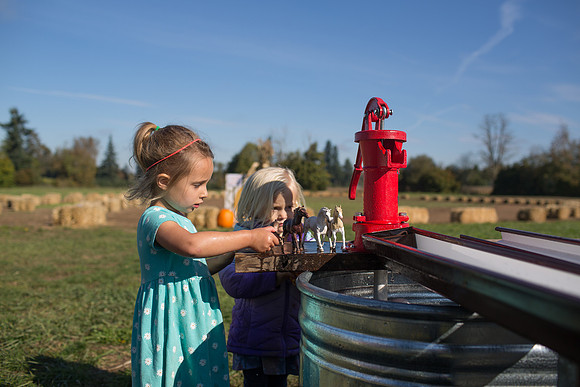 YMCA Pumpkin Patch 2019-9307