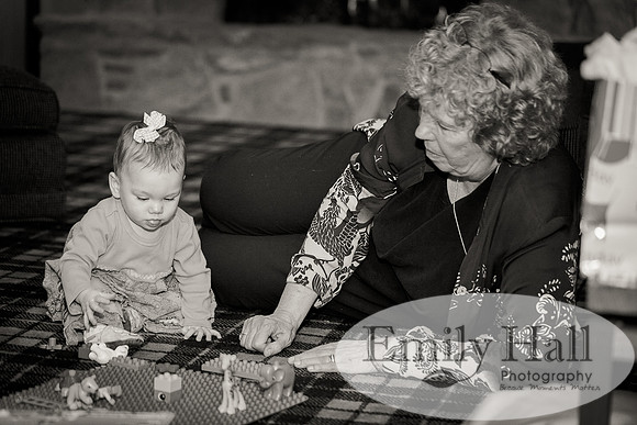 Emily Hall Photography - Vivian's Birthday-7366-2