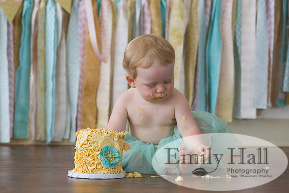 Emily Hall Photography - Charlotte - 1-3469
