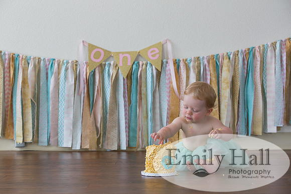 Emily Hall Photography - Charlotte - 1-3386