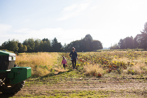 YMCA Pumpkin Patch 2019-9137