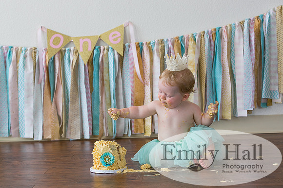 Emily Hall Photography - Charlotte - 1-3482