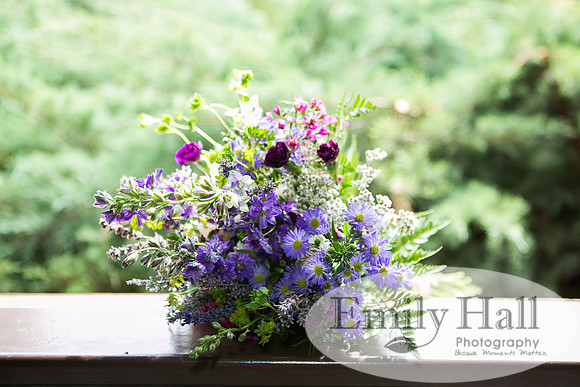 Emily Hall Photography - Arrowsmith Wedding Photos-7219