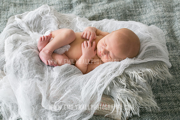 Emily Hall Photography - Owen-9740
