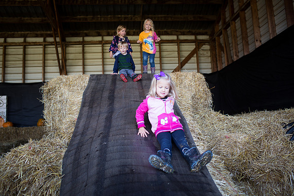 YMCA Pumpkin Patch 2019-9210