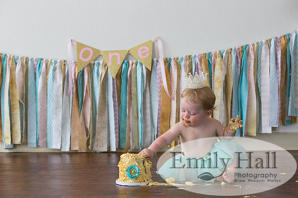 Emily Hall Photography - Charlotte - 1-3481