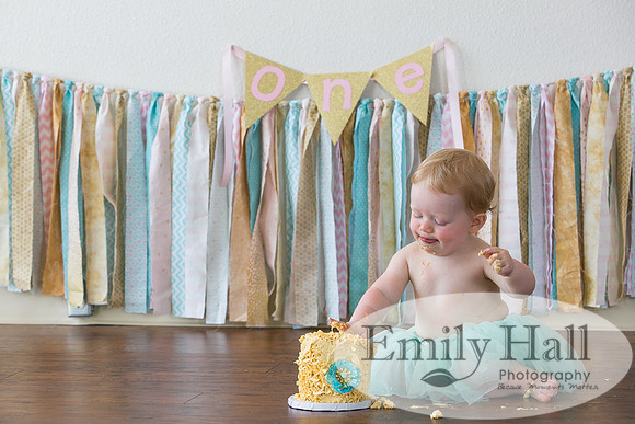 Emily Hall Photography - Charlotte - 1-3428