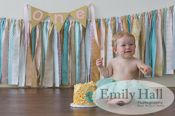 Emily Hall Photography - Charlotte - 1-3384