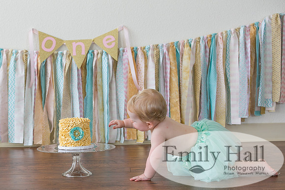 Emily Hall Photography - Charlotte - 1-3360