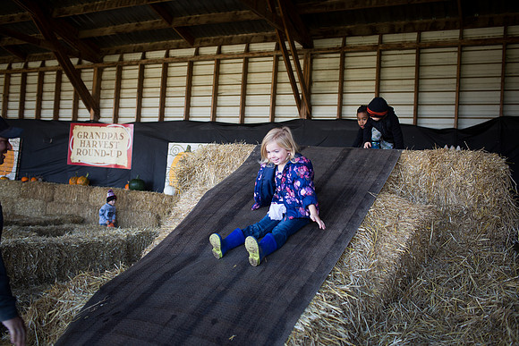 YMCA Pumpkin Patch 2019-9228