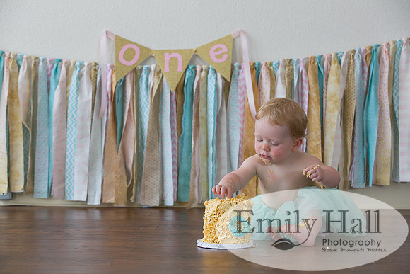 Emily Hall Photography - Charlotte - 1-3387